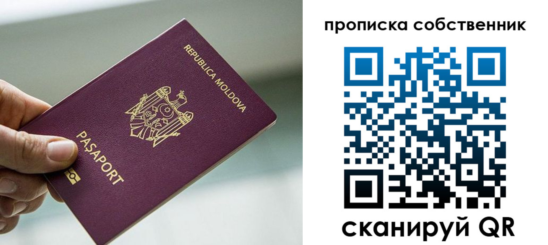 прописка паспорт в Ермолино